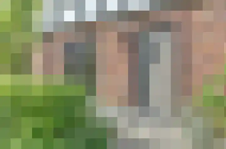Beekforel 18 Waddinxveen thumbnail 10