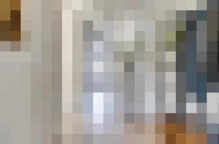 Beekforel 18 Waddinxveen thumbnail 11