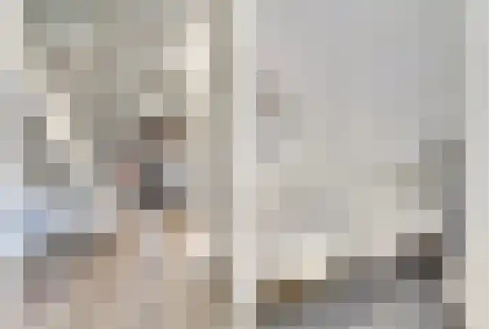 Beekforel 18 Waddinxveen thumbnail 12