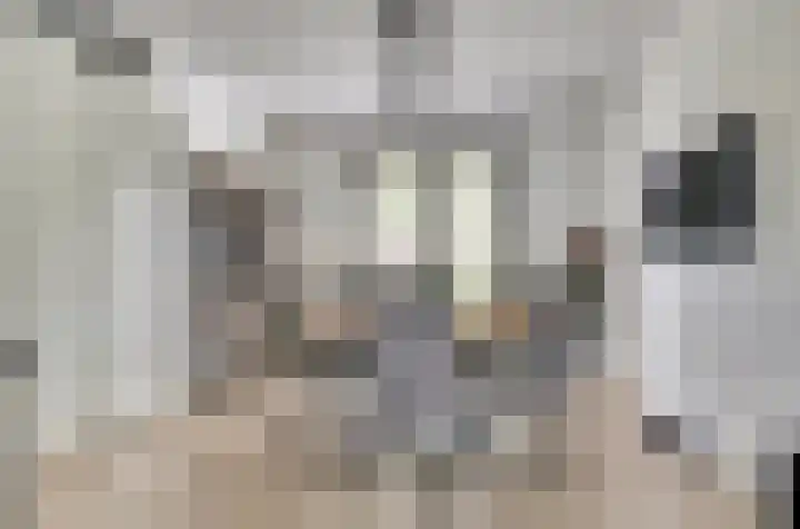 Beekforel 18 Waddinxveen thumbnail 13