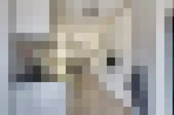 Beekforel 18 Waddinxveen thumbnail 14
