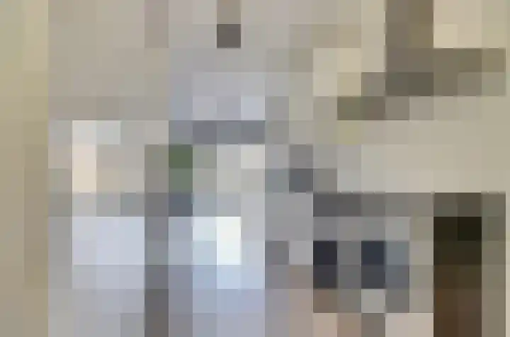 Beekforel 18 Waddinxveen thumbnail 15