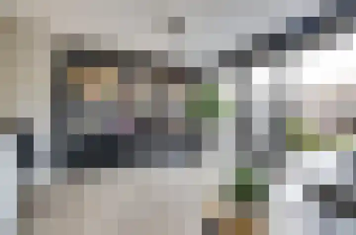 Beekforel 18 Waddinxveen thumbnail 17