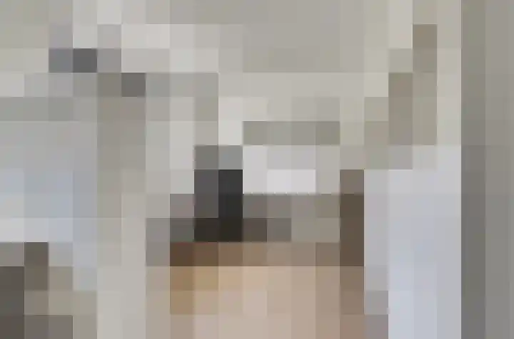 Beekforel 18 Waddinxveen thumbnail 22