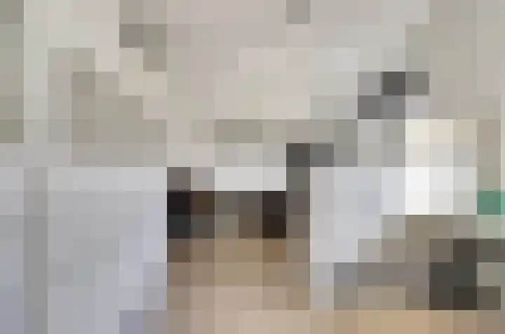 Beekforel 18 Waddinxveen thumbnail 23