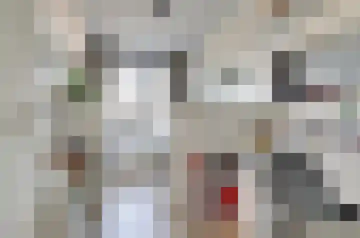 Beekforel 18 Waddinxveen thumbnail 24