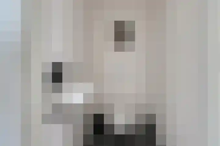 Beekforel 18 Waddinxveen thumbnail 25