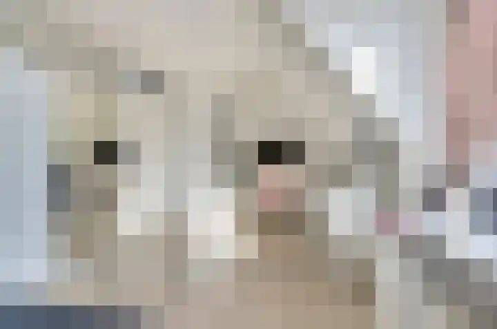 Beekforel 18 Waddinxveen thumbnail 32