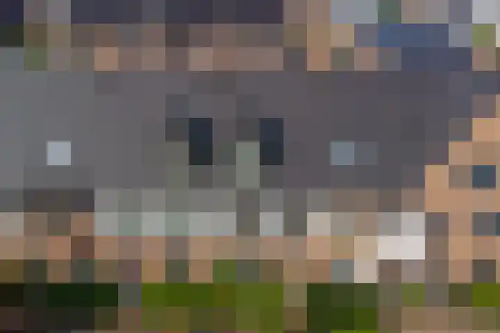 Beekforel 18 Waddinxveen thumbnail 37