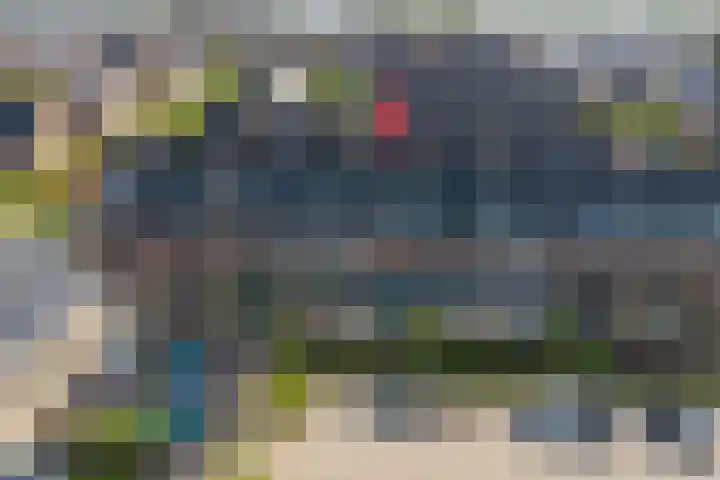 Beekforel 18 Waddinxveen thumbnail 38