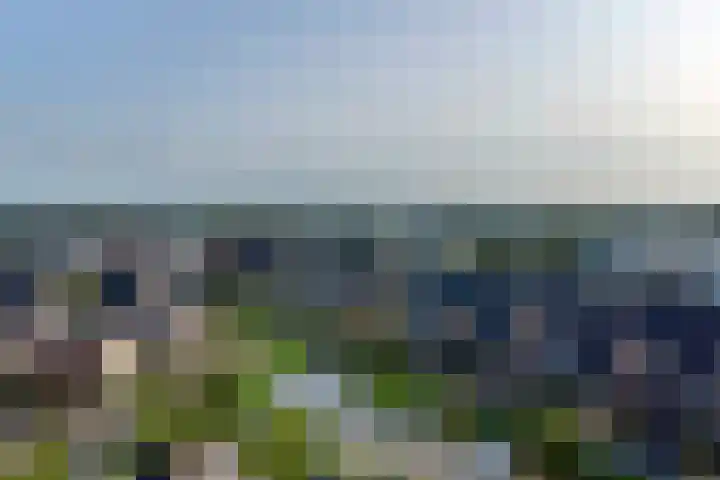 Beekforel 18 Waddinxveen thumbnail 39