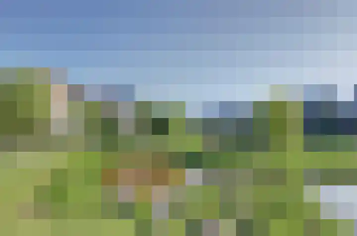 Beekforel 18 Waddinxveen thumbnail 40