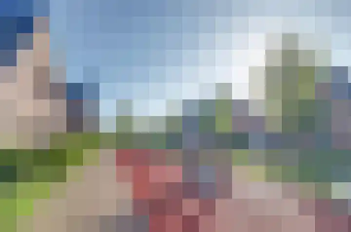Beekforel 18 Waddinxveen thumbnail 41