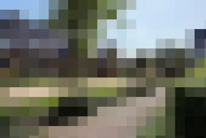Beekforel 18 Waddinxveen thumbnail 6