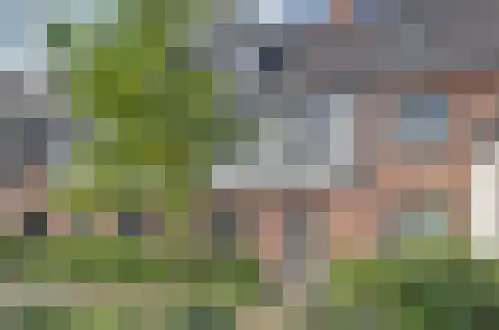 Beekforel 18 Waddinxveen thumbnail 7