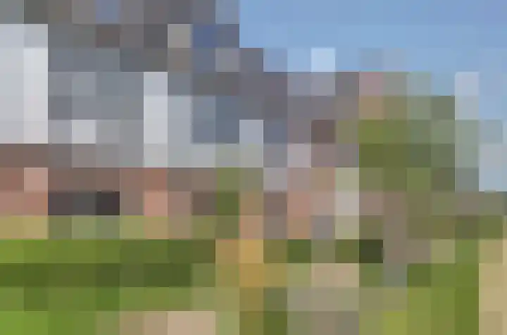 Beekforel 18 Waddinxveen thumbnail 8