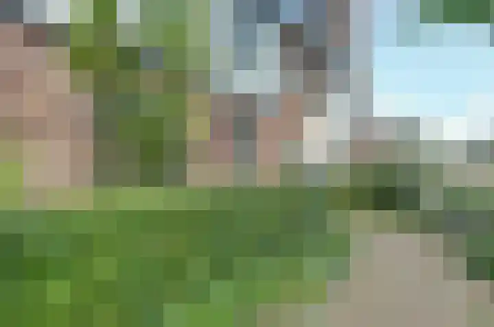 Beekforel 18 Waddinxveen thumbnail 9