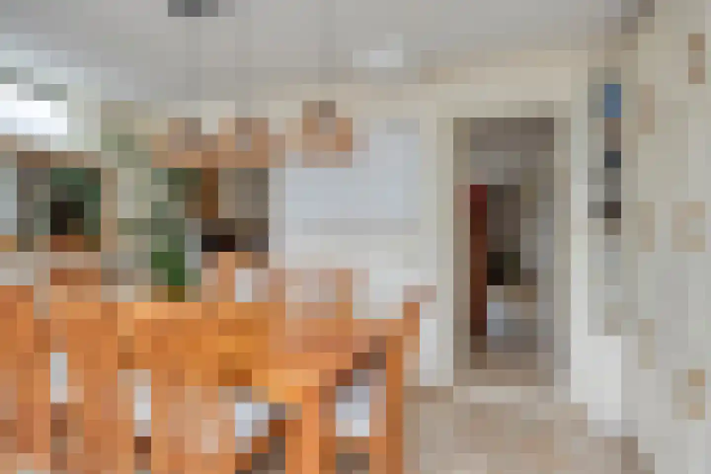 Beekforel 2 Leusden thumbnail 13