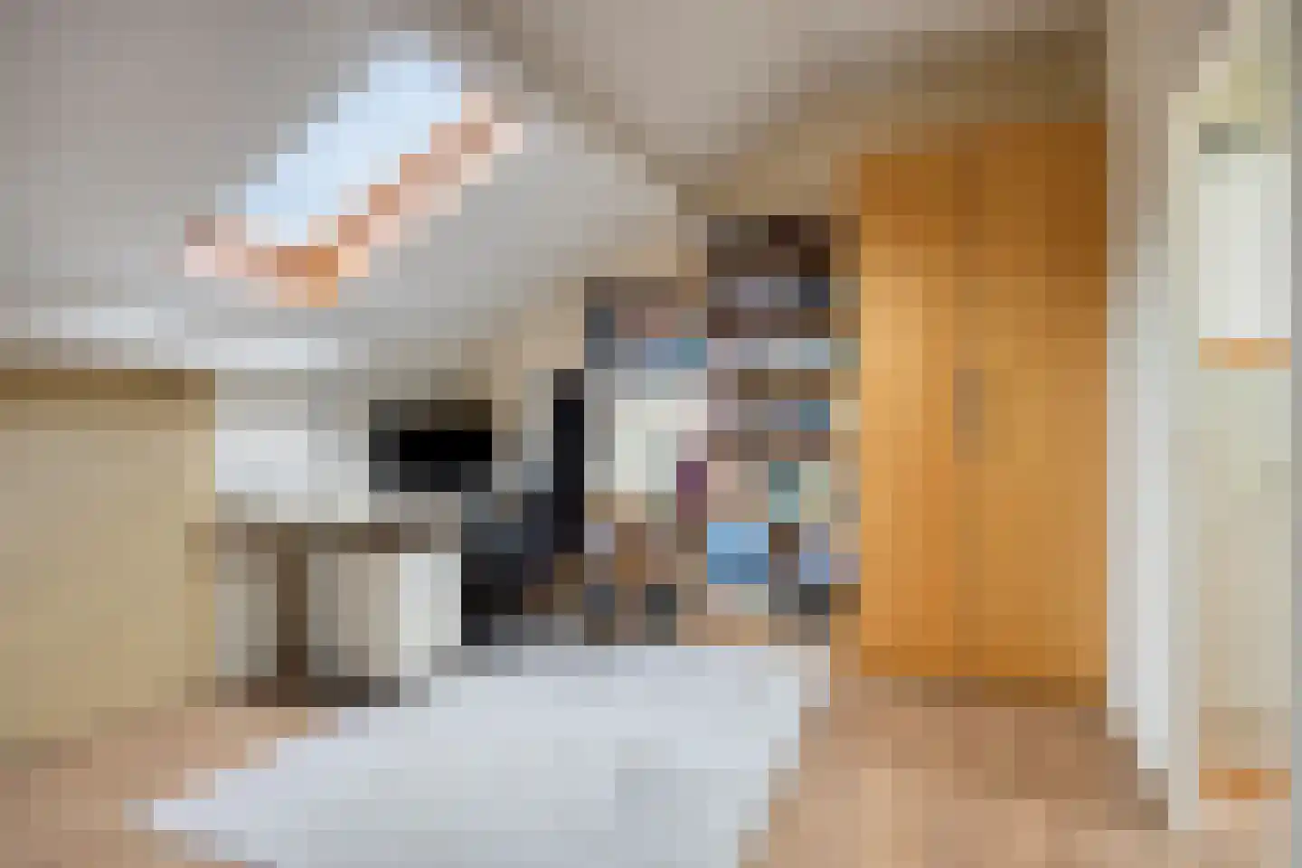Beekforel 2 Leusden thumbnail 26