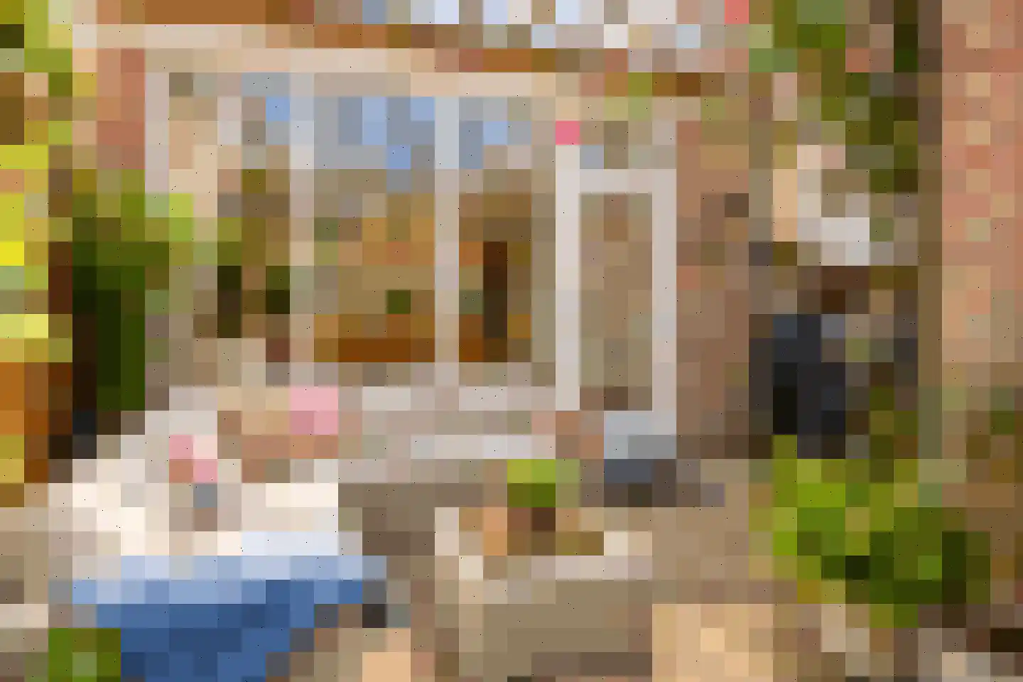Beekforel 2 Leusden thumbnail 30