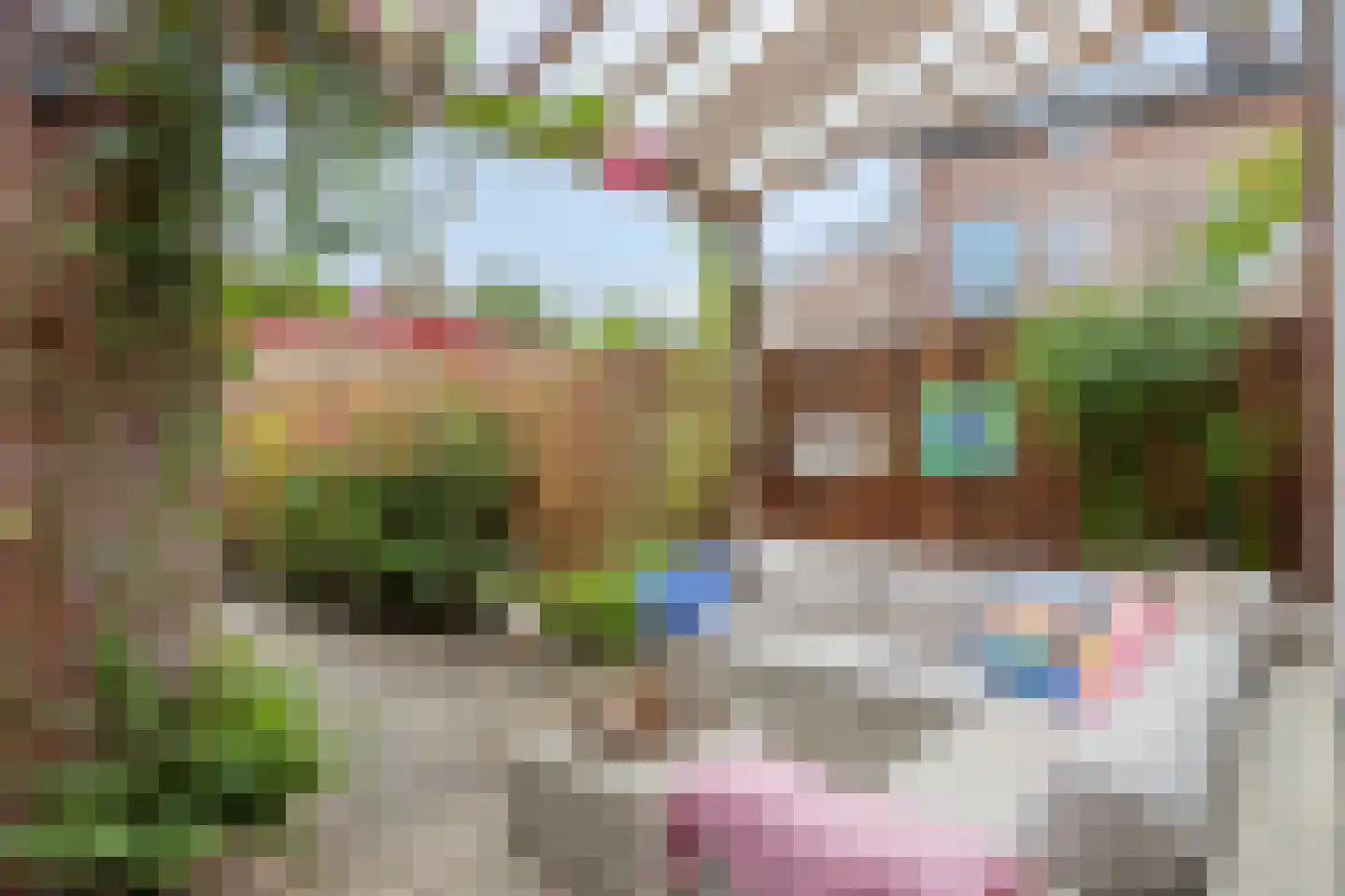 Beekforel 2 Leusden thumbnail 31