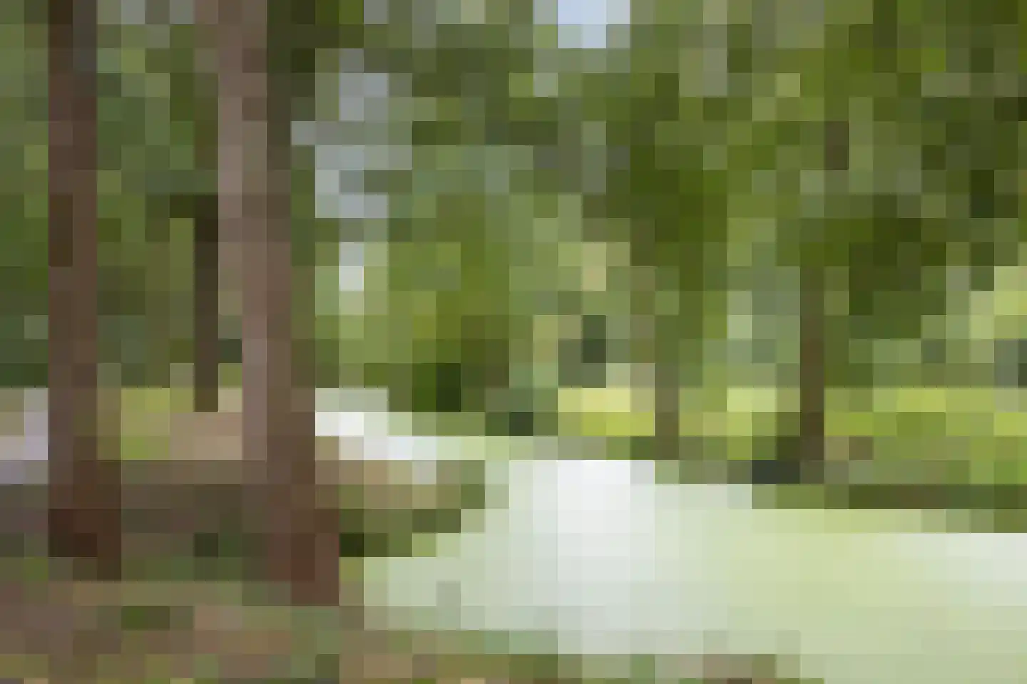 Beekforel 2 Leusden thumbnail 34