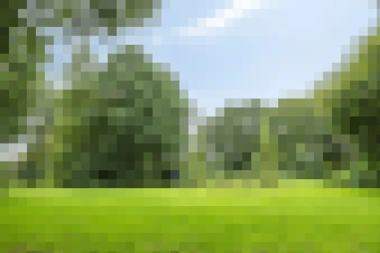 Beekforel 2 Leusden thumbnail 35
