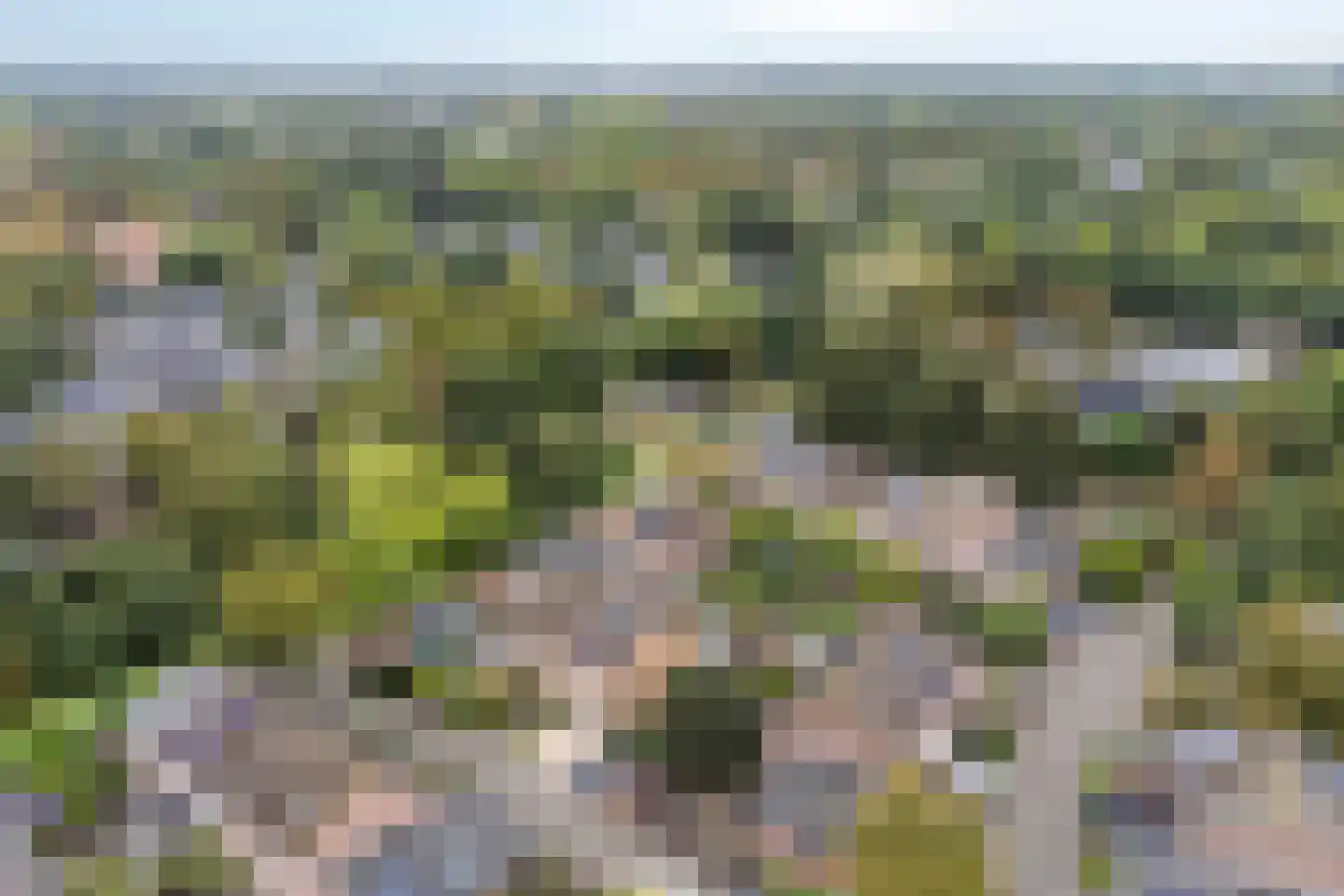 Beekforel 2 Leusden thumbnail 36