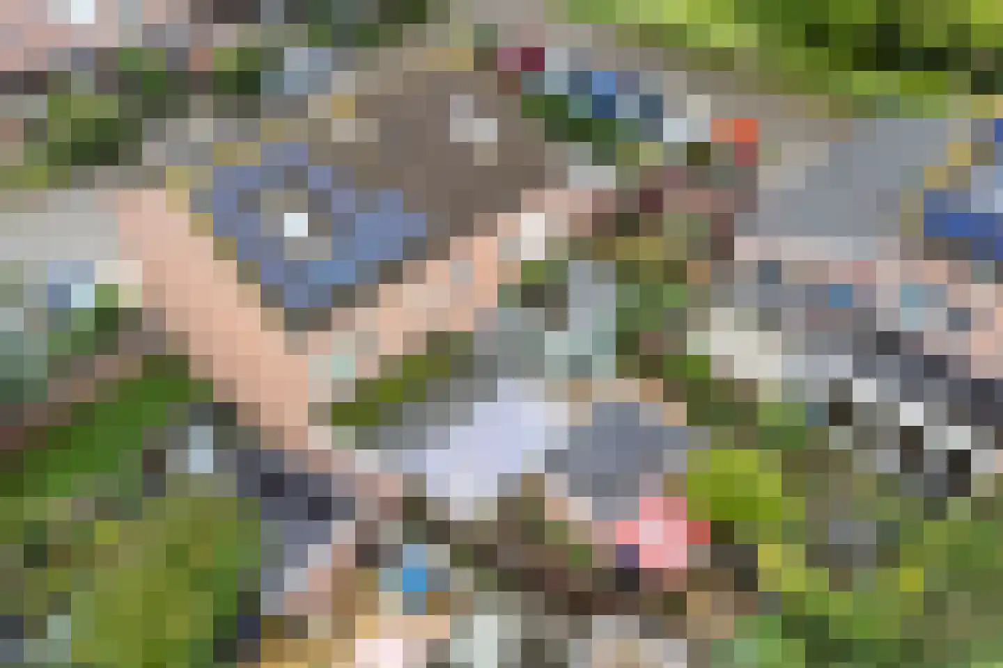 Beekforel 2 Leusden thumbnail 37