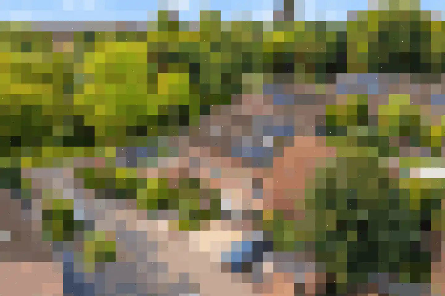 Beekforel 2 Leusden thumbnail 38