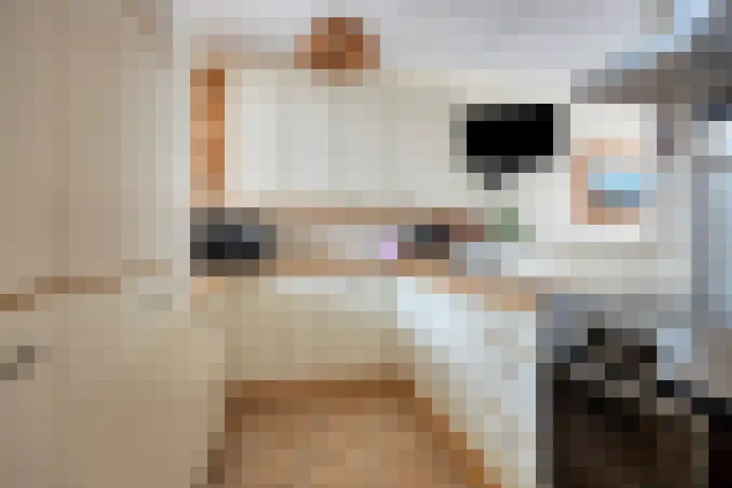 Beekforel 2 Leusden thumbnail 8