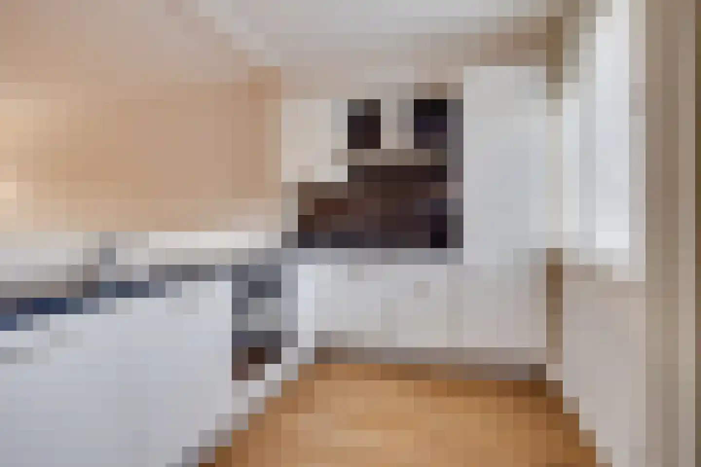 Beekforel 33 Leusden thumbnail 10