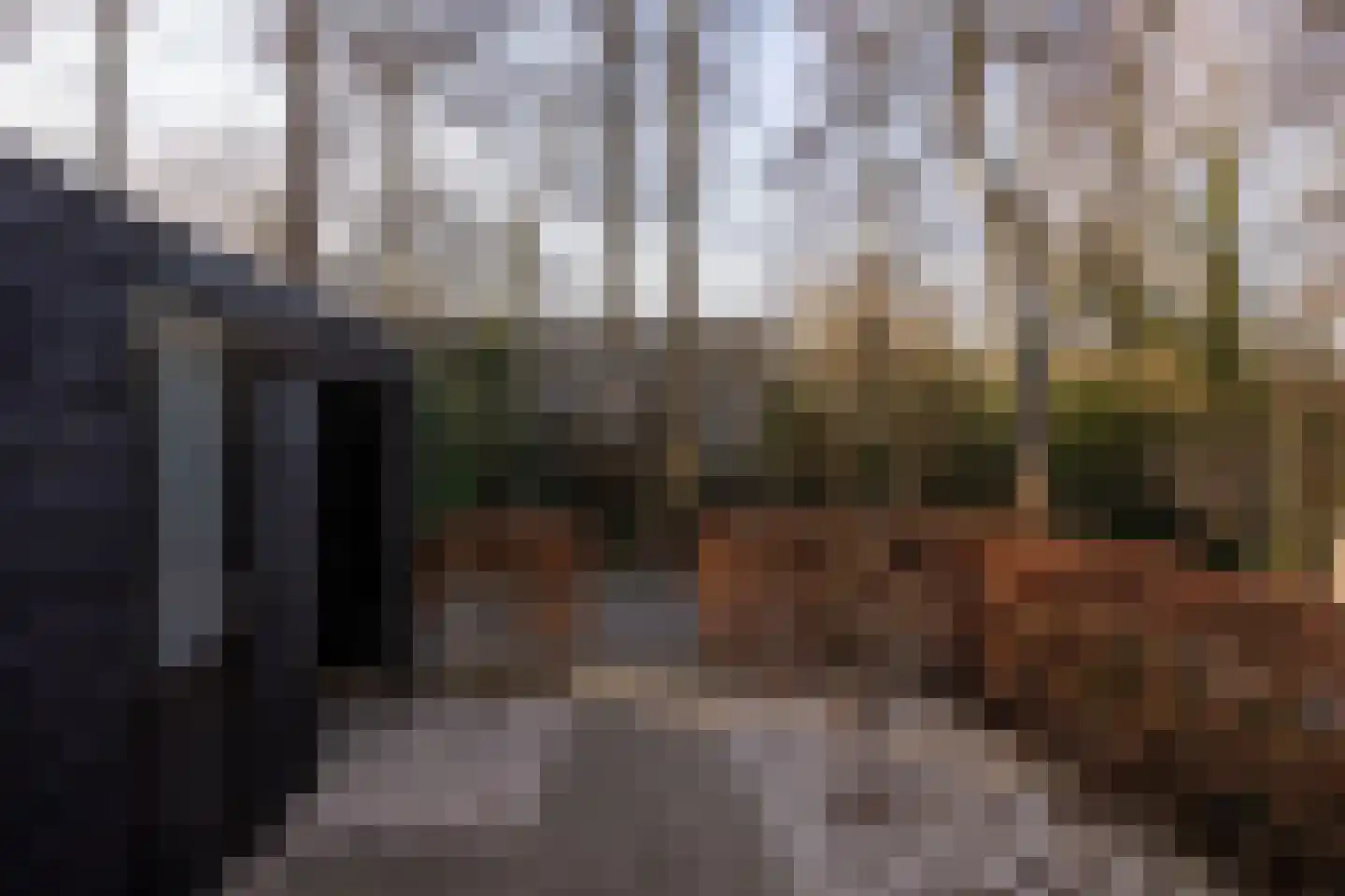 Beekforel 33 Leusden thumbnail 36