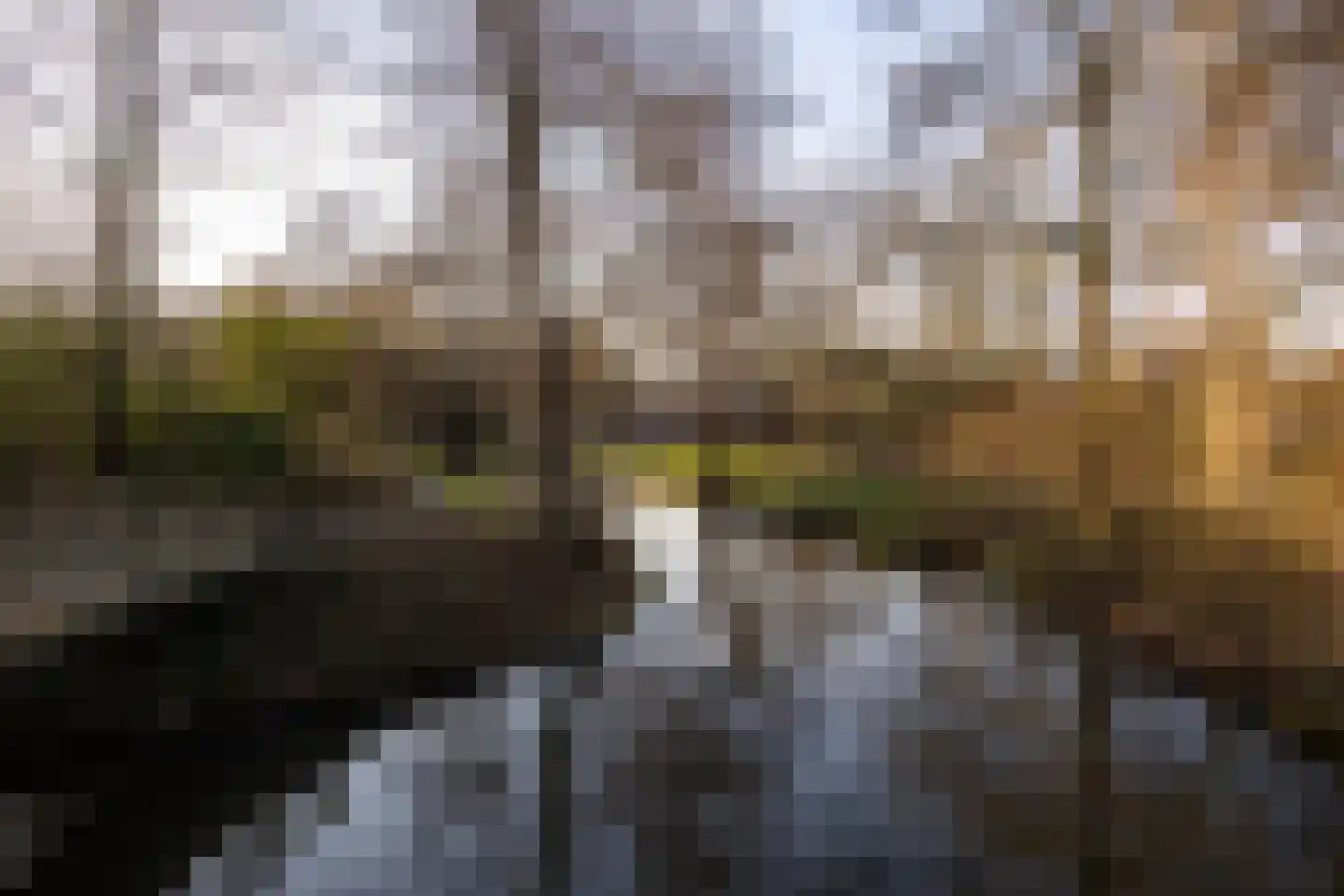 Beekforel 33 Leusden thumbnail 37