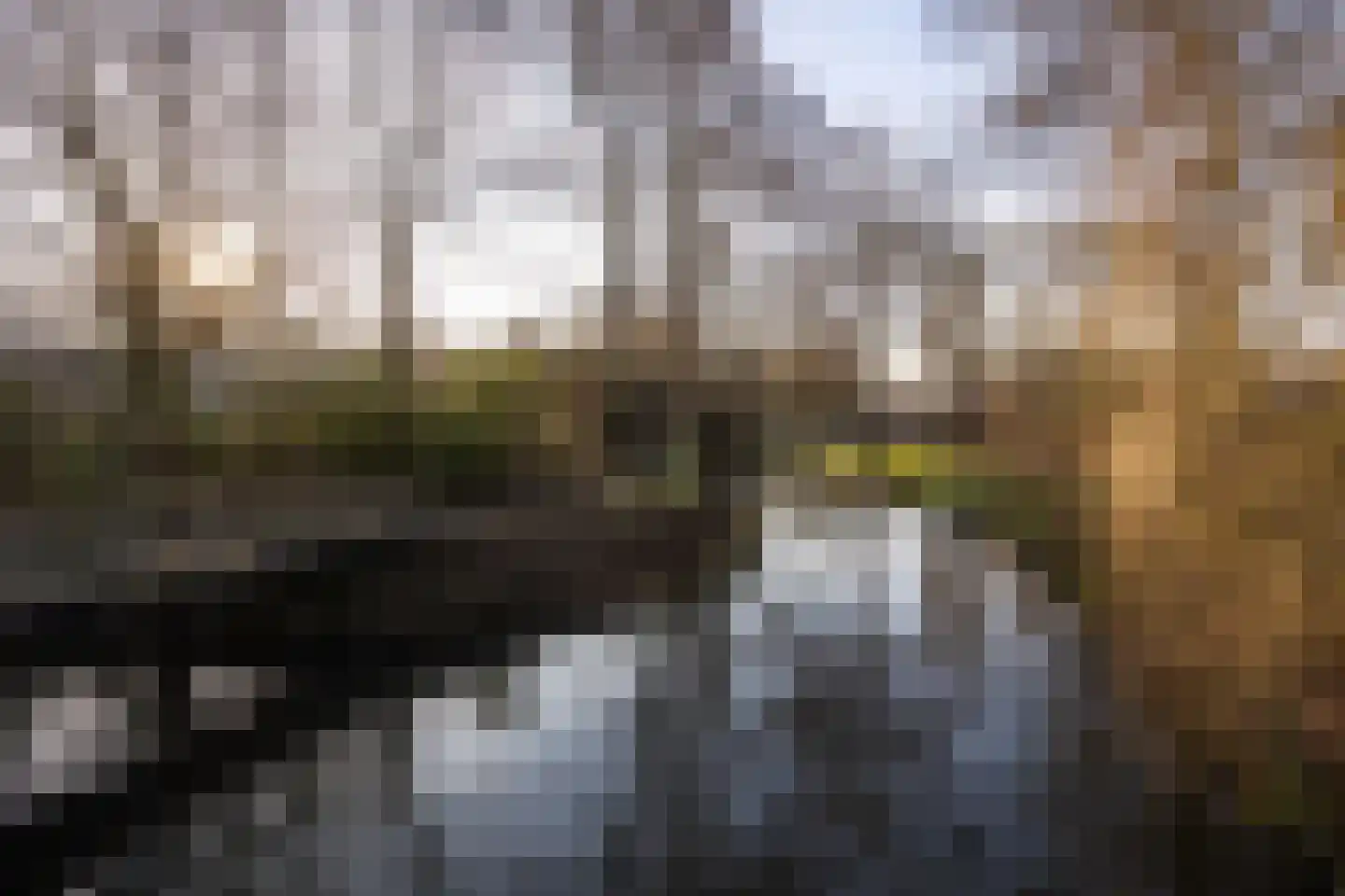 Beekforel 33 Leusden thumbnail 38