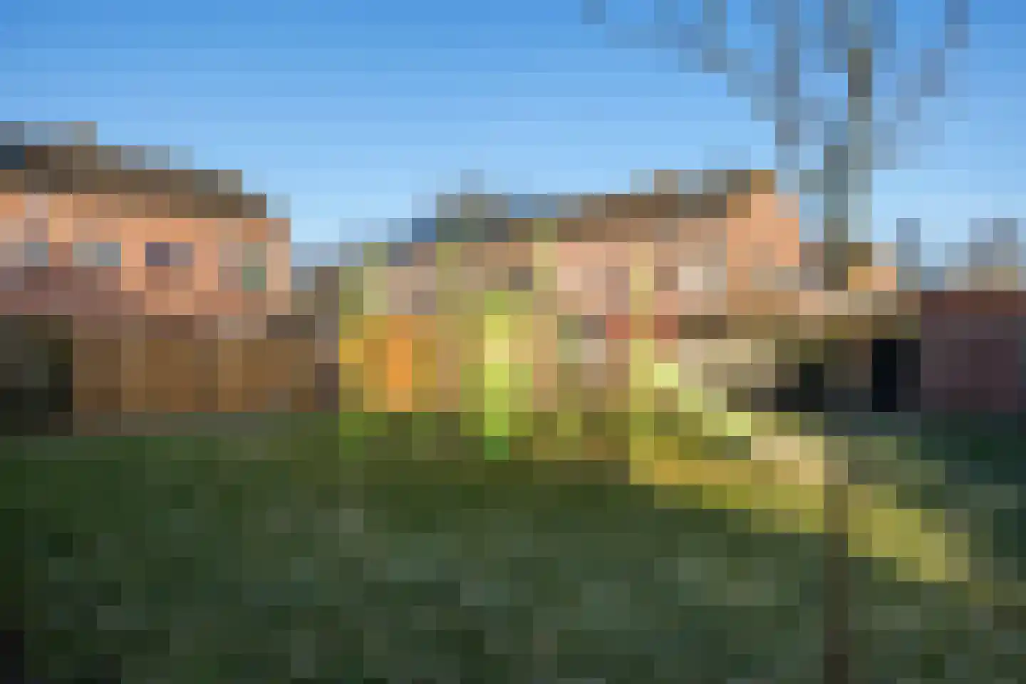 Beekforel 33 Leusden thumbnail 40