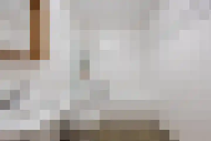 Beekgraafstraat 18 Veghel thumbnail 26