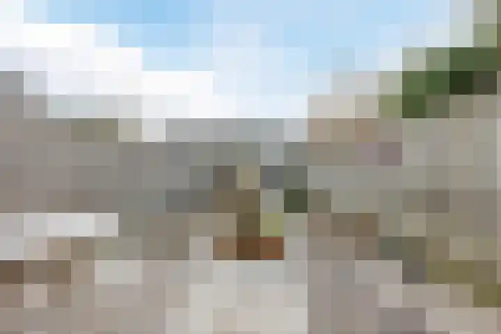 Beekgraafstraat 18 Veghel thumbnail 35
