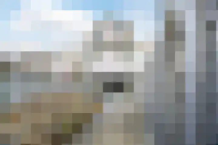 Beekgraafstraat 18 Veghel thumbnail 38