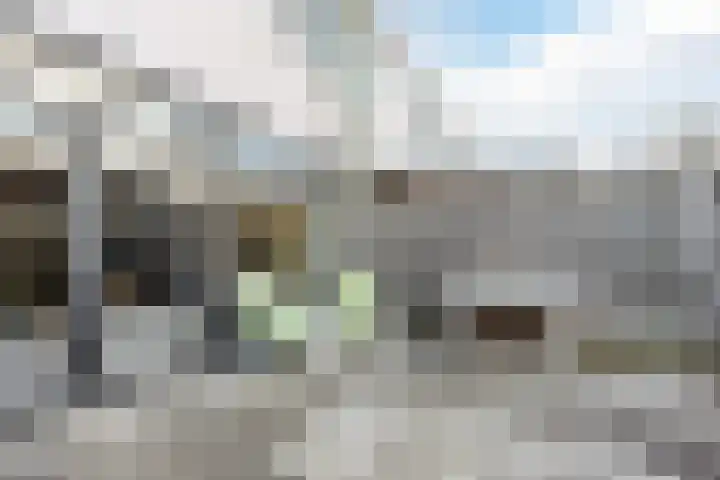 Beekgraafstraat 18 Veghel thumbnail 39