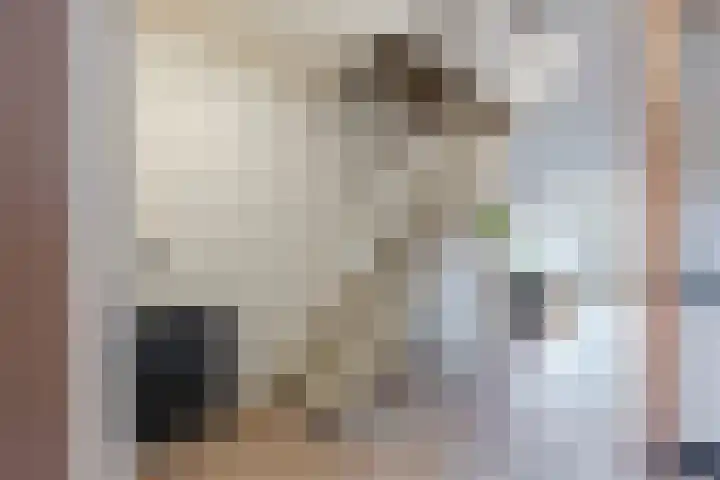 Beekgraafstraat 18 Veghel thumbnail 4
