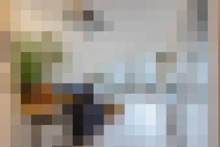 Beekgraafstraat 18 Veghel thumbnail 5