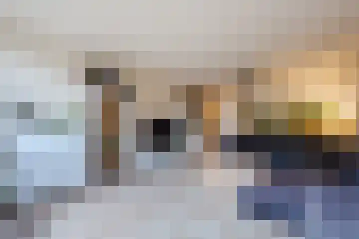 Beekgraafstraat 18 Veghel thumbnail 7