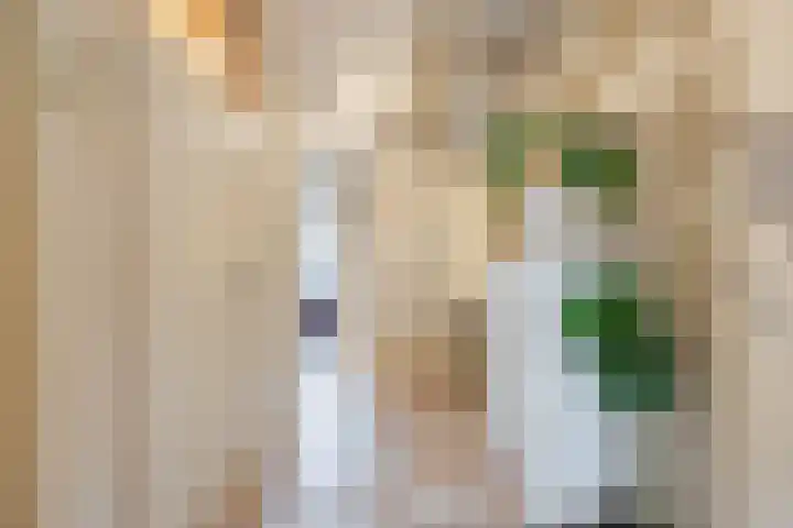 Beekgraafstraat 18 Veghel thumbnail 9