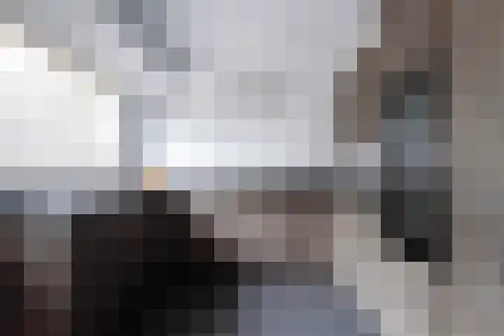 Beekgraafstraat 21 Veghel thumbnail 11