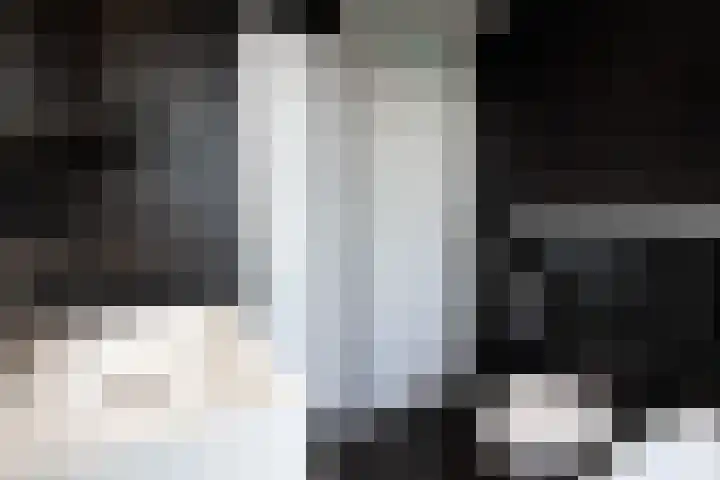 Beekgraafstraat 21 Veghel thumbnail 20