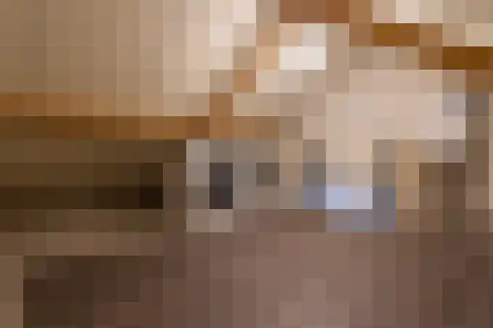 Beekgraafstraat 21 Veghel thumbnail 29