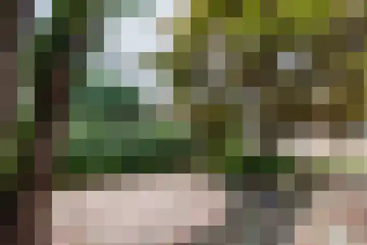 Beekgraafstraat 21 Veghel thumbnail 4