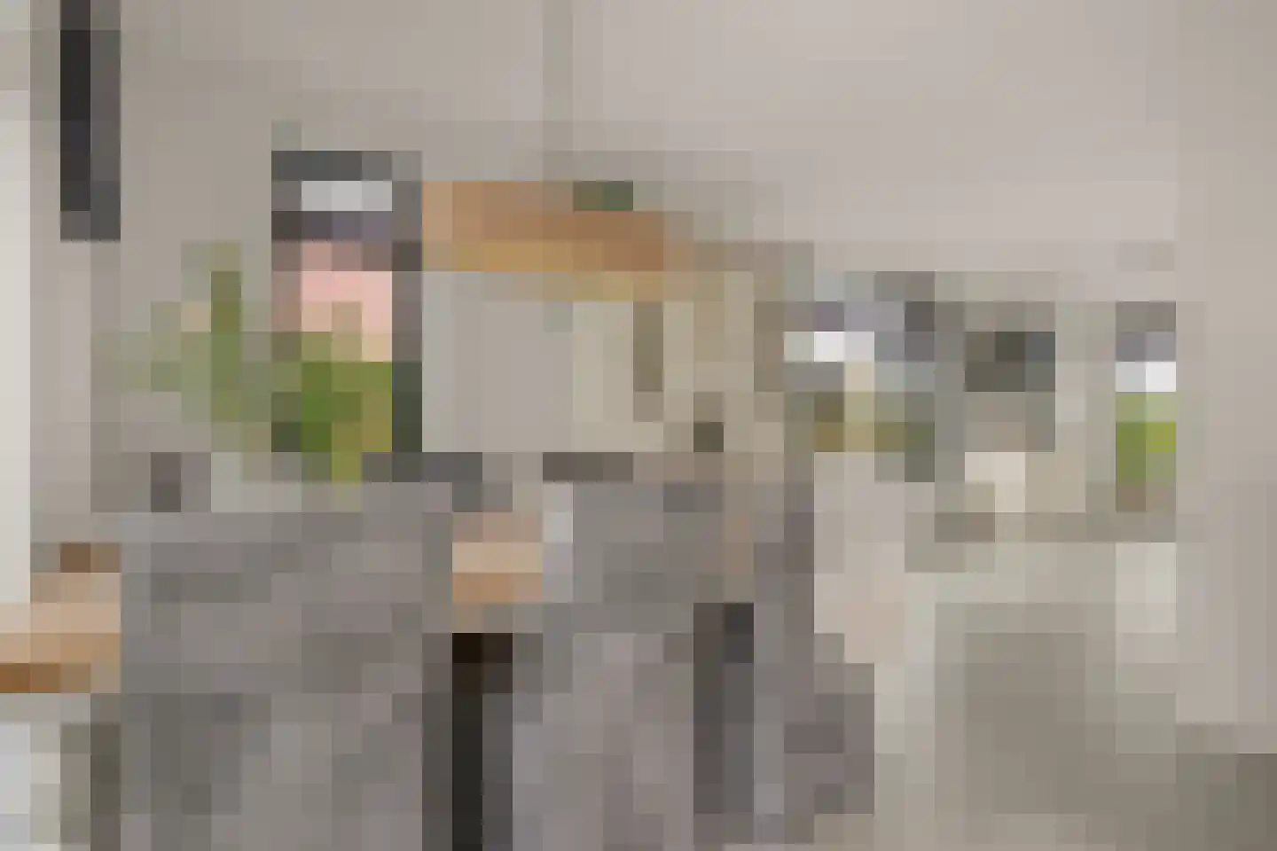 Beekhoek 2 Achterveld thumbnail 10
