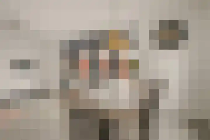 Beekhoek 2 Achterveld thumbnail 12